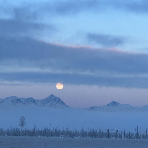 Meet your Posher, Wendy - Picture 4 of 10